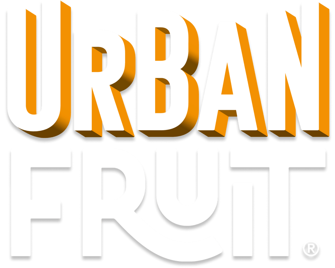 Urban Fruit Good to Go Snack Gently Baked Fruit